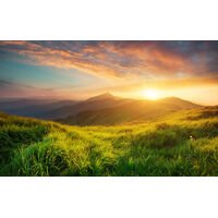 prekė su viskuo vieneke