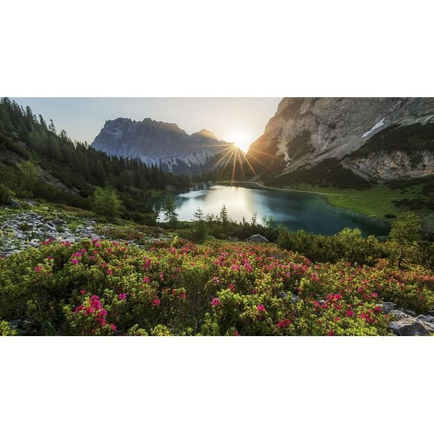 prekė su viskuo vieneke