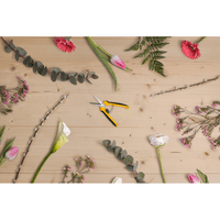 Genėjimo žirklutės STIGA