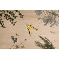 Sekatorius prasilenkiančiais ašmenimis STIGA